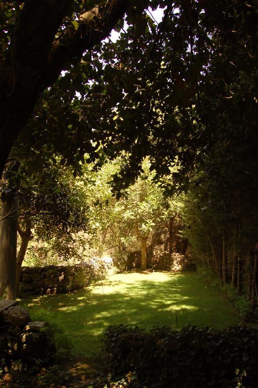 Masseria Convento Novoli 外观 照片